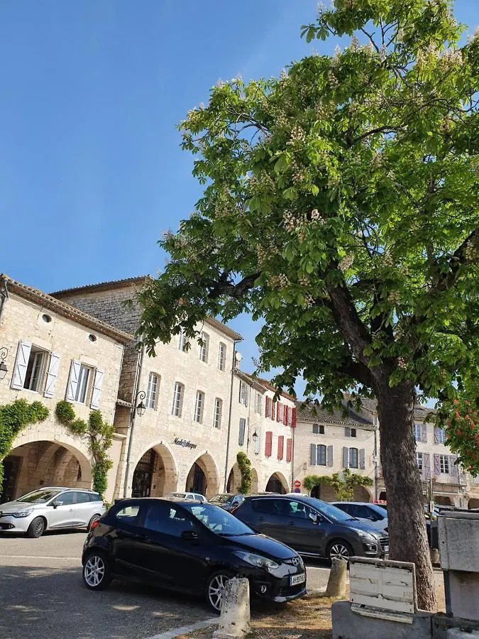 Bed and Breakfast La Cour Saint Louis à Castelnau-Montratier 0*,